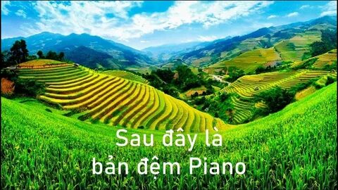 Cách Khởi Nghiệp Kiếm Tiền Bán Thời Gian Dành Cho Người Mới_Quỹ đầu tư khởi nghiệp